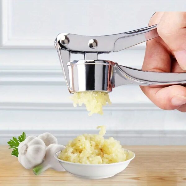 Stainless Steel Garlic Press Set of